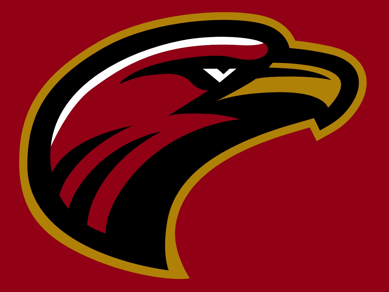 Louisiana_Monroe_Warhawks01.jpg